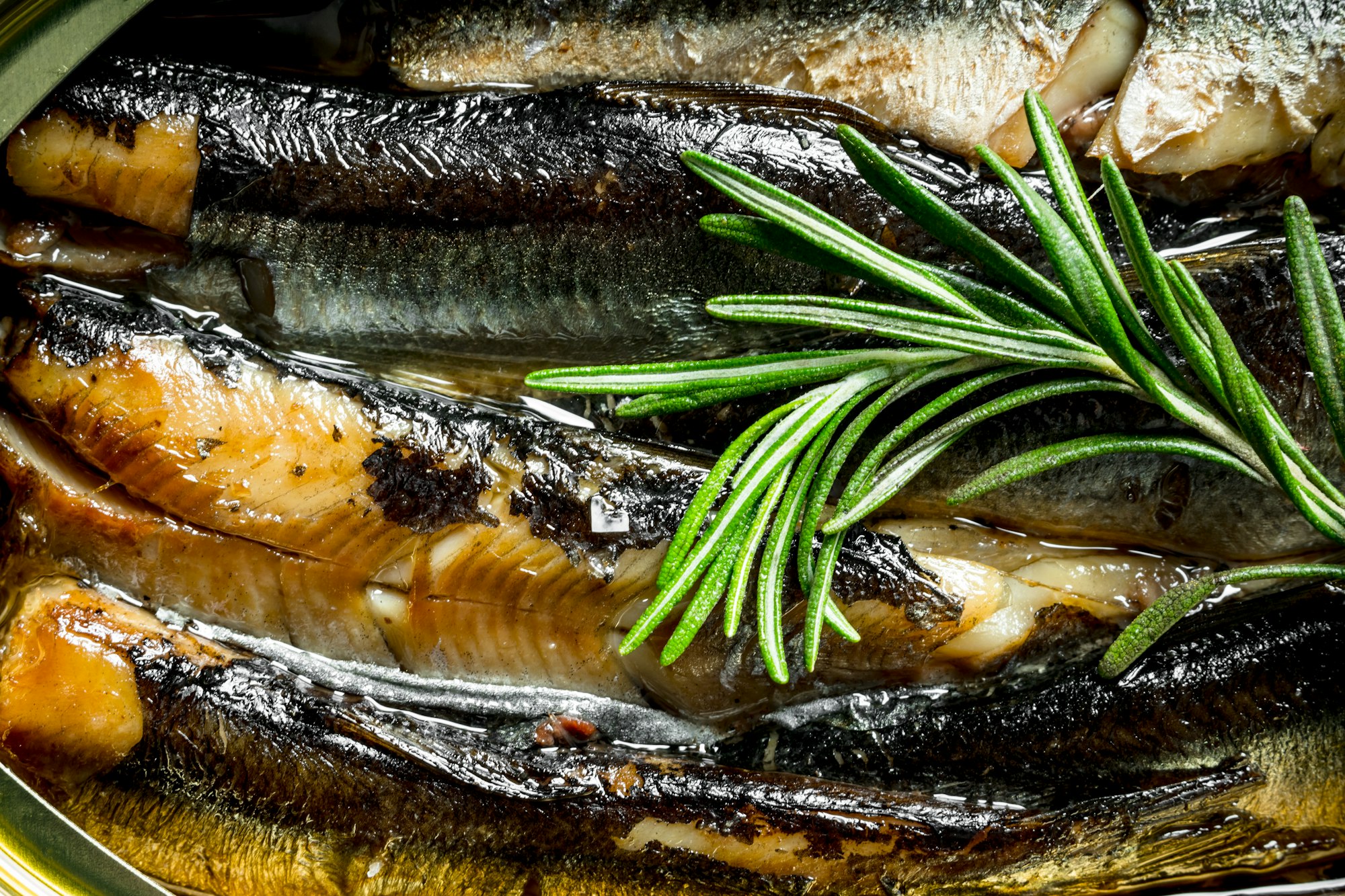 Sprats flavored with rosemary.